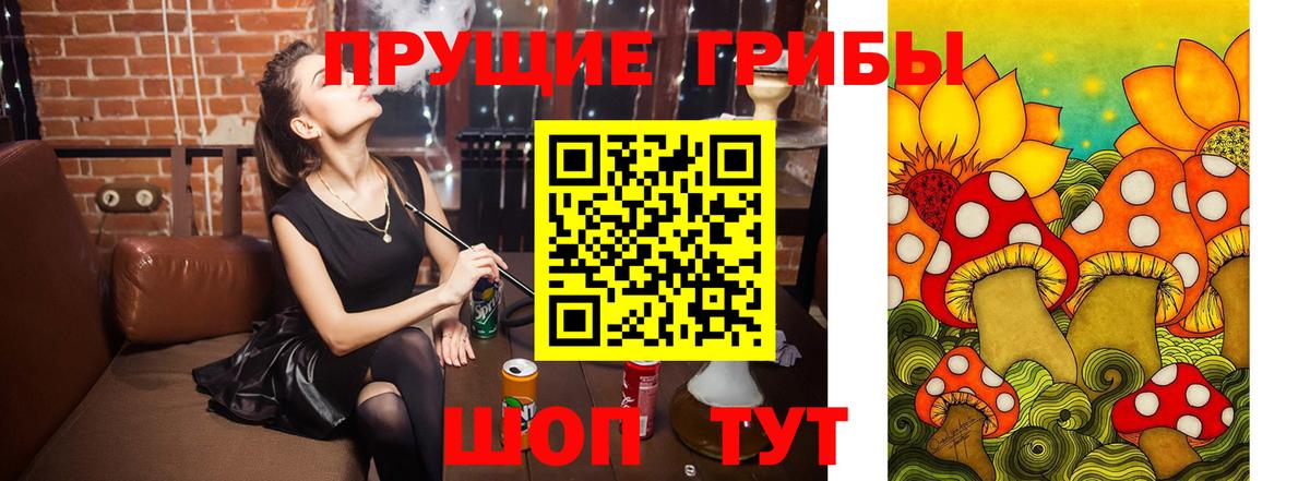 Псилоцибиновые грибы мухоморы Красноперекопск