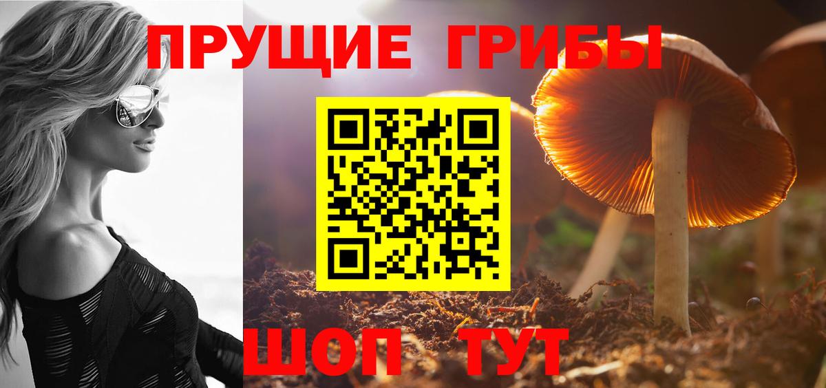 Красноперекопск  Псилоцибиновые грибы MAGIC MUSHROOMS  дарнет шоп  Псилоцибиновые грибы Magic Shrooms  Вход с VPN 